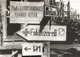 Иллюстрация к книге — 1943. Дивизия СС "Рейх" на Восточном фронте [i_059.jpg]