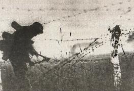 Иллюстрация к книге — 1943. Дивизия СС "Рейх" на Восточном фронте [i_091.jpg]