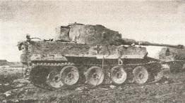 Иллюстрация к книге — 1943. Дивизия СС "Рейх" на Восточном фронте [i_132.jpg]