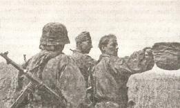 Иллюстрация к книге — 1943. Дивизия СС "Рейх" на Восточном фронте [i_134.jpg]