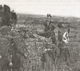 Иллюстрация к книге — 1943. Дивизия СС "Рейх" на Восточном фронте [i_139.jpg]