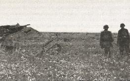 Иллюстрация к книге — 1943. Дивизия СС "Рейх" на Восточном фронте [i_147.jpg]