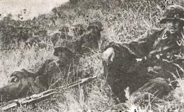 Иллюстрация к книге — 1943. Дивизия СС "Рейх" на Восточном фронте [i_153.jpg]