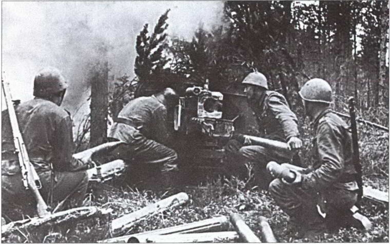 Иллюстрация к книге — Кто помогал Гитлеру? Европа в войне против Советского Союза [i_044.jpg]