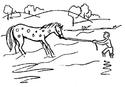 Иллюстрация к книге — О воспитании детей. Пособие для родителей [_041.jpg]