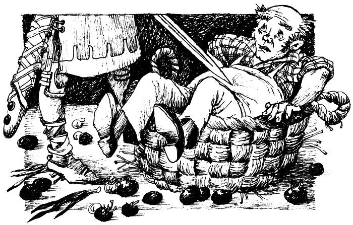 Иллюстрация к книге — Зачарованный лес [_07.jpg]