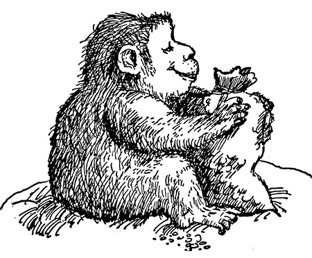 Иллюстрация к книге — Татуированный пес [i_004.jpg]