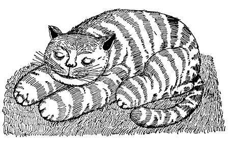 Иллюстрация к книге — Татуированный пес [i_010.jpg]