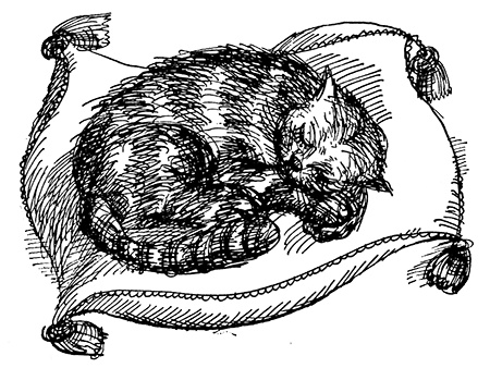 Иллюстрация к книге — Татуированный пес [i_013.jpg]