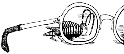 Иллюстрация к книге — Татуированный пес [i_018.jpg]