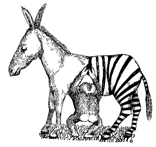 Иллюстрация к книге — Татуированный пес [i_030.jpg]