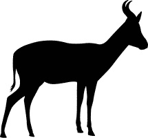 Иллюстрация к книге — Сюрпризы и опасности [i_010.jpg]