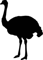 Иллюстрация к книге — Сюрпризы и опасности [i_015.jpg]