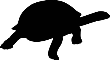 Иллюстрация к книге — Сюрпризы и опасности [i_017.jpg]