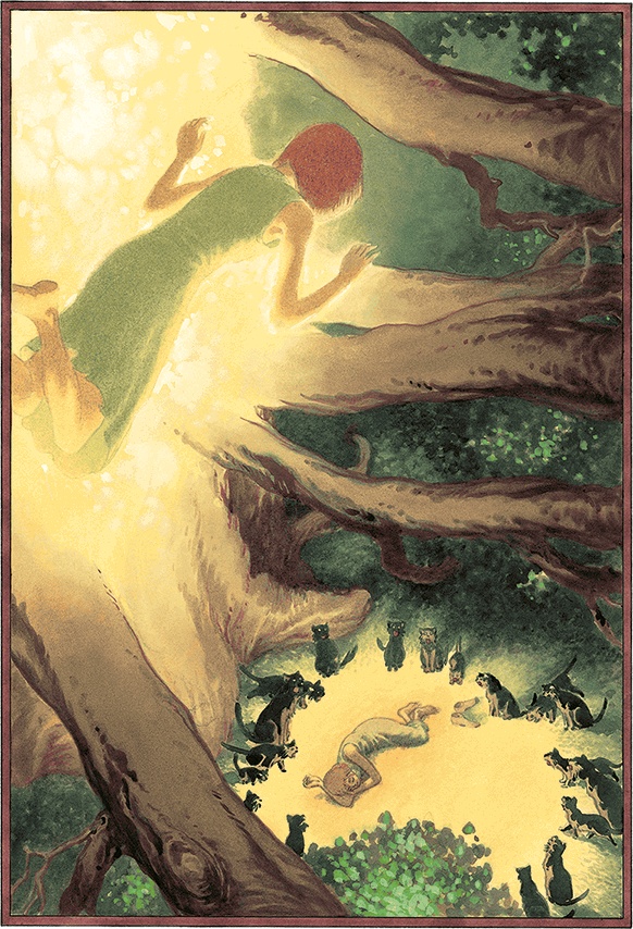 Иллюстрация к книге — Кошки Дремучего леса [i_011.jpg]