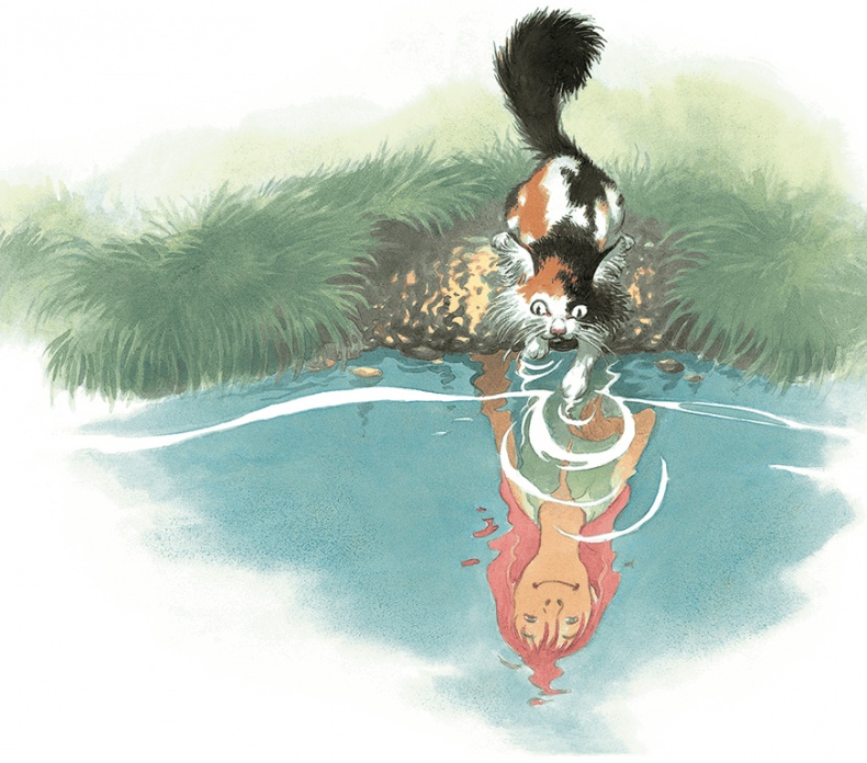 Иллюстрация к книге — Кошки Дремучего леса [i_012.jpg]