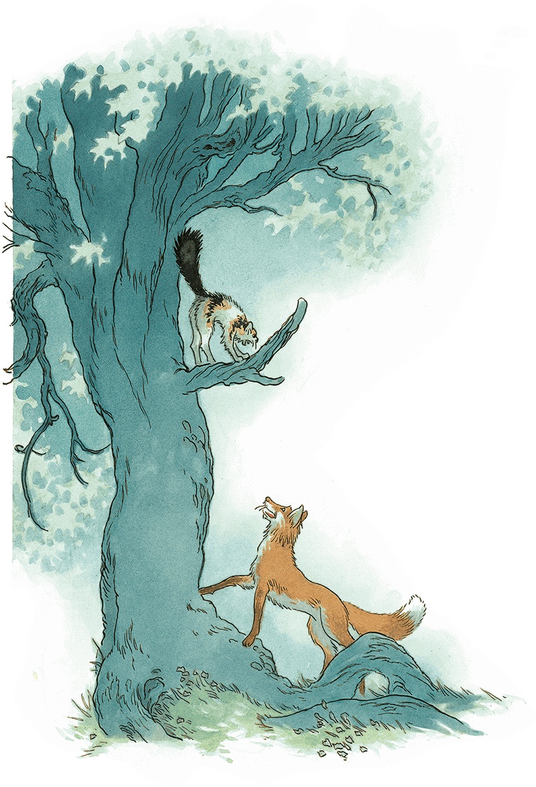 Иллюстрация к книге — Кошки Дремучего леса [i_019.jpg]