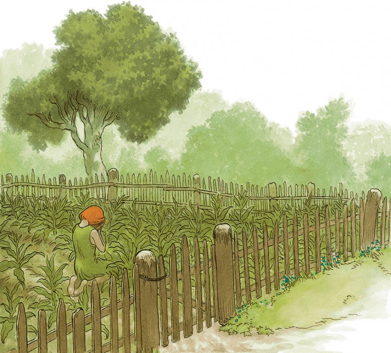 Иллюстрация к книге — Кошки Дремучего леса [i_028.jpg]