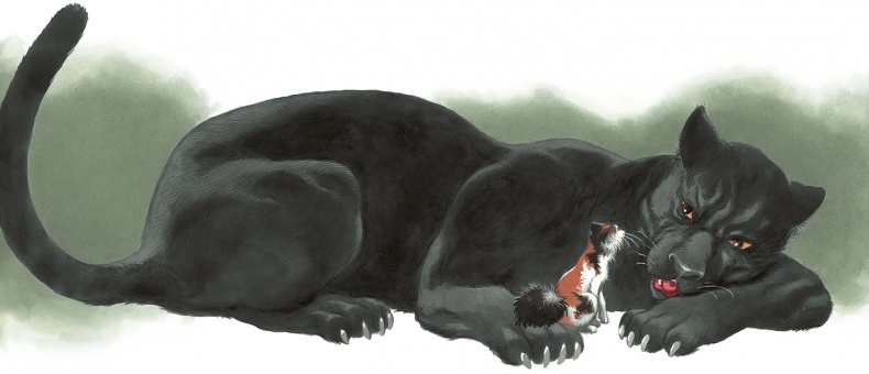 Иллюстрация к книге — Кошки Дремучего леса [i_065.jpg]