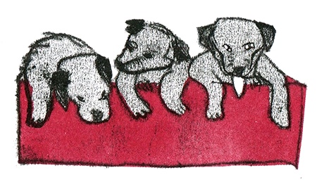 Иллюстрация к книге — Былое и думы собаки Диты [i_004.jpg]