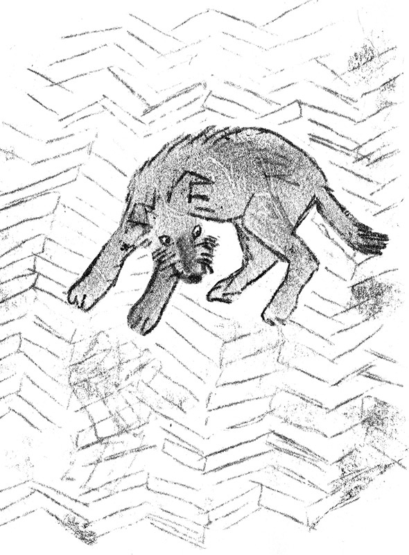 Иллюстрация к книге — Былое и думы собаки Диты [i_005.jpg]