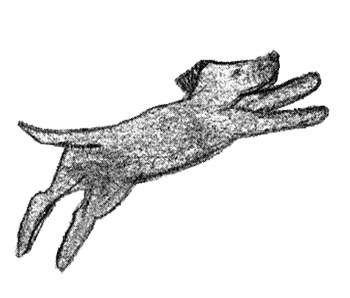 Иллюстрация к книге — Былое и думы собаки Диты [i_007.jpg]