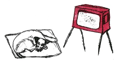 Иллюстрация к книге — Былое и думы собаки Диты [i_010.jpg]