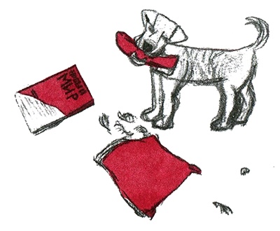 Иллюстрация к книге — Былое и думы собаки Диты [i_015.jpg]