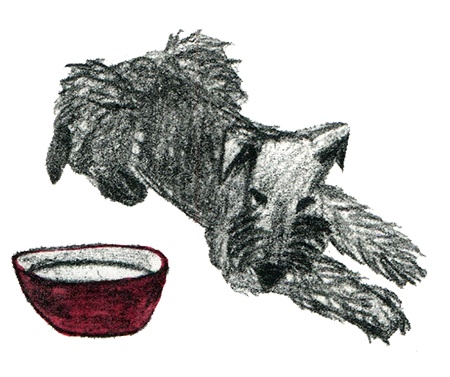 Иллюстрация к книге — Былое и думы собаки Диты [i_031.jpg]