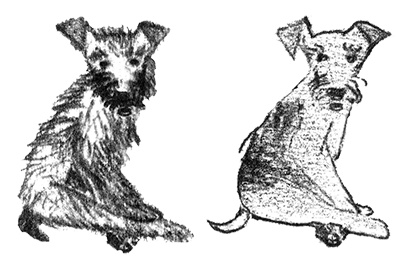 Иллюстрация к книге — Былое и думы собаки Диты [i_038.jpg]