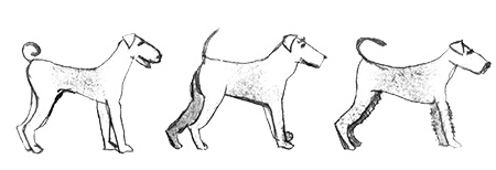 Иллюстрация к книге — Былое и думы собаки Диты [i_039.jpg]