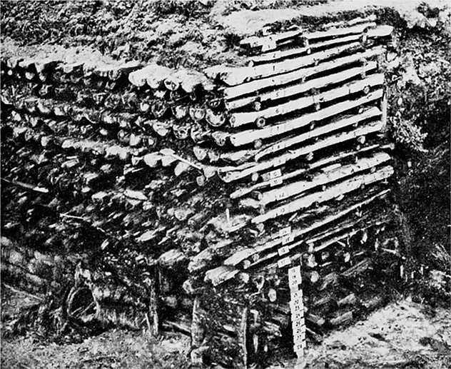 Иллюстрация к книге — Господин Великий Новгород [i_068.jpg]