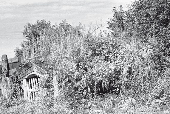 Иллюстрация к книге — Первое чудо света. Как и для чего были построены египетские пирамиды [i_065.jpg]