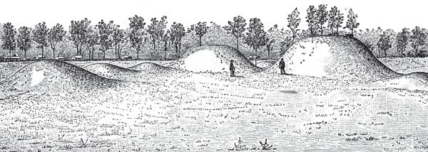 Иллюстрация к книге — Первое чудо света. Как и для чего были построены египетские пирамиды [i_084.jpg]