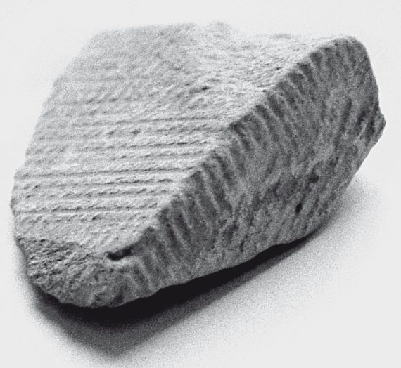 Иллюстрация к книге — Первое чудо света. Как и для чего были построены египетские пирамиды [i_126.jpg]