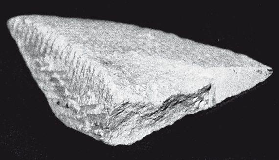 Иллюстрация к книге — Первое чудо света. Как и для чего были построены египетские пирамиды [i_127.jpg]