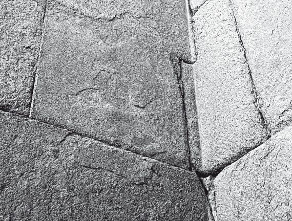 Иллюстрация к книге — Первое чудо света. Как и для чего были построены египетские пирамиды [i_149.jpg]