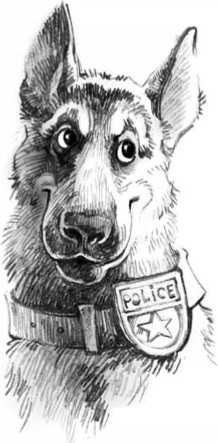 Иллюстрация к книге — Библиотека тетушки Марты [i_022.jpg]