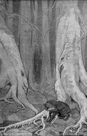 Иллюстрация к книге — Белый Клык. Зов предков [i_004.jpg]