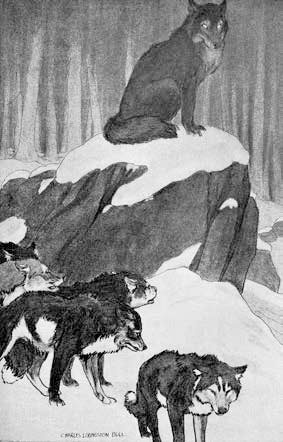 Иллюстрация к книге — Белый Клык. Зов предков [i_005.jpg]