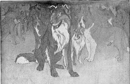 Иллюстрация к книге — Белый Клык. Зов предков [i_007.jpg]