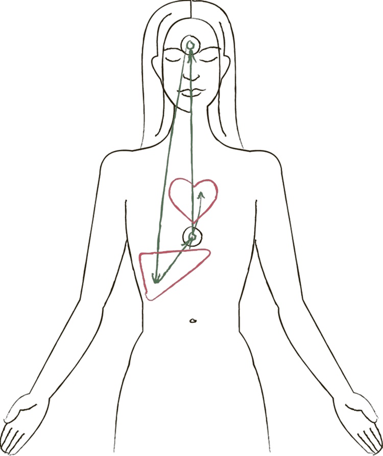 Иллюстрация к книге — Сделай мужа миллионером [i_038.jpg]