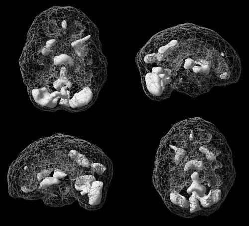 Иллюстрация к книге — Омни диета [i_012.jpg]