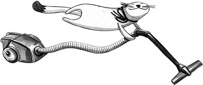 Иллюстрация к книге — Счастливая хозяйка: как все успевать? Уникальные методики, которые приведут твою жизнь в порядок [i_002.jpg]