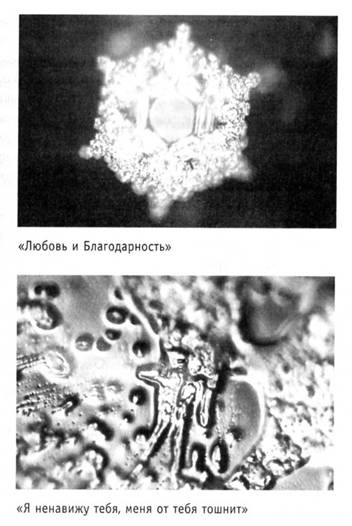 Иллюстрация к книге — Книга № 1. Про счастье [i_014.jpg]