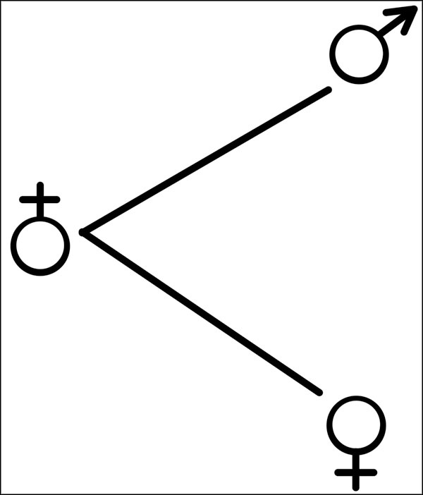 Иллюстрация к книге — Натальная астрология [ris30.jpg]
