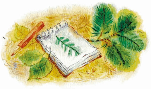 Иллюстрация к книге — Таня, Выдра и компания [i_005.jpg]