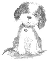 Иллюстрация к книге — Щенок Тимми, или Я иду искать! [i_004.jpg]