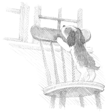 Иллюстрация к книге — Щенок Тимми, или Я иду искать! [i_014.jpg]