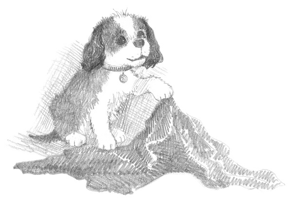 Иллюстрация к книге — Щенок Тимми, или Я иду искать! [i_033.jpg]